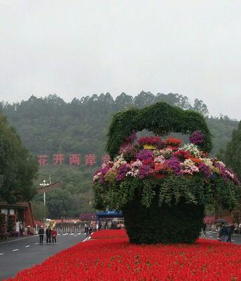 银川花博会的路线指南是什么？如何顺利到达花博会现场？