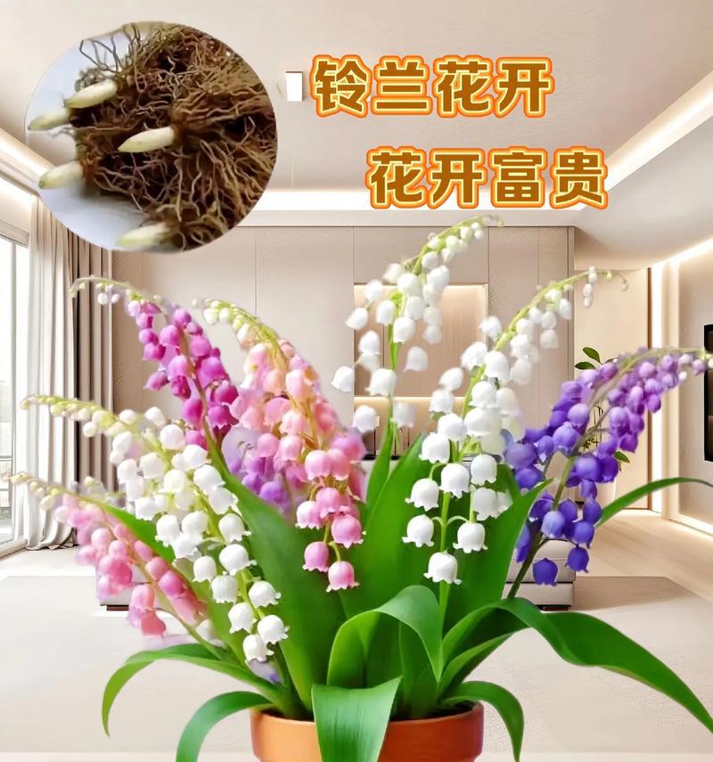 哪种花的花语是可爱？可爱花语的花有哪些？
