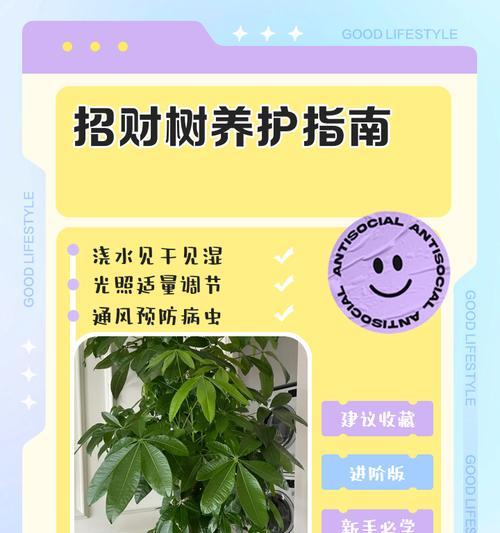 见干见湿是什么意思？如何正确应用见干见湿原则？