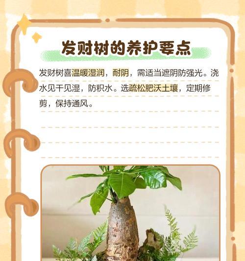 见干见湿是什么意思？如何正确应用见干见湿原则？