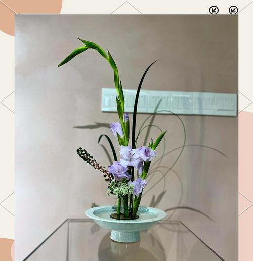 四季花艺盆栽的日常养护要点是什么？如何延长花期？