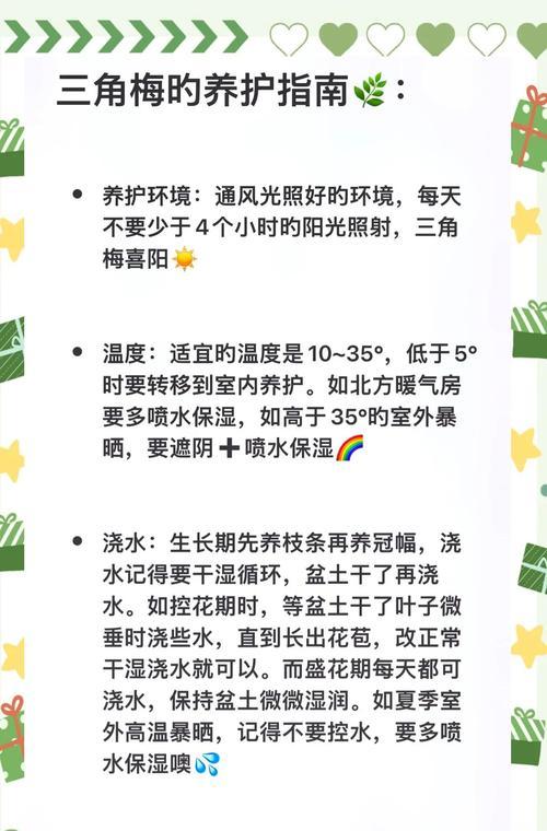 三角梅施肥的最佳时机是什么时候？如何正确施肥？