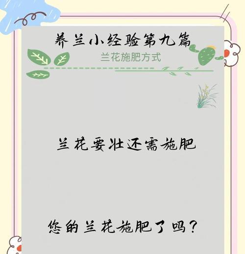 兰花适合使用哪种肥料？如何正确施肥？
