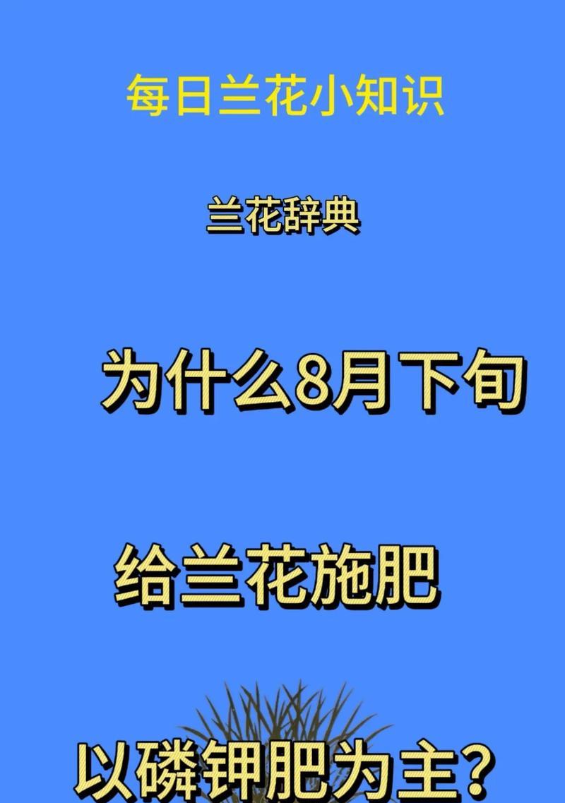 兰花适合使用哪种肥料？如何正确施肥？