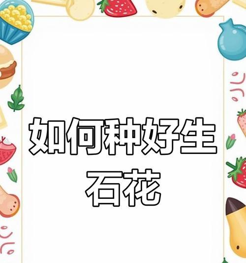 生石花的浇水方法是什么？如何正确给生石花浇水？