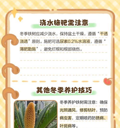 铁树的施肥时间是什么时候？铁树的施肥方法是什么？
