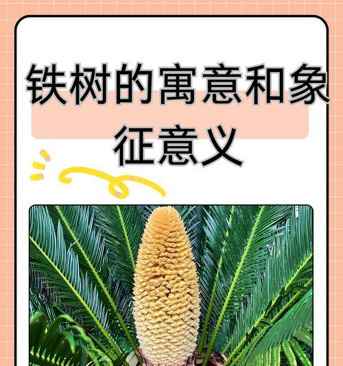 铁树如何快速生长？养殖铁树有哪些技巧？