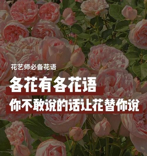 一生莫离的花语是哪种花？