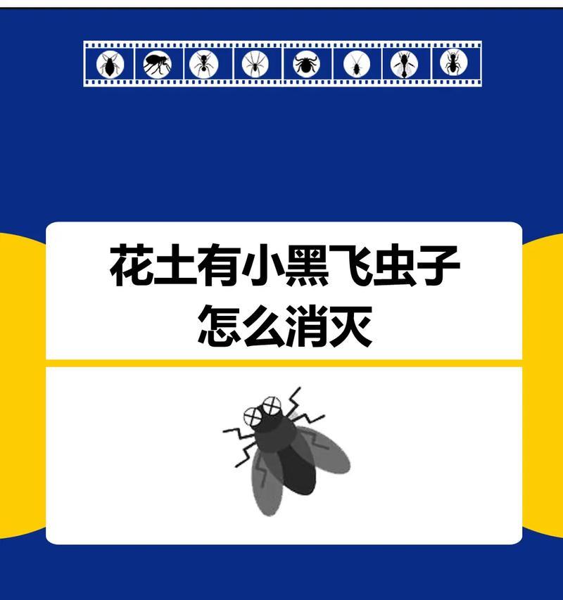 遇到养花小飞虫该如何处理？有效防治方法是什么？