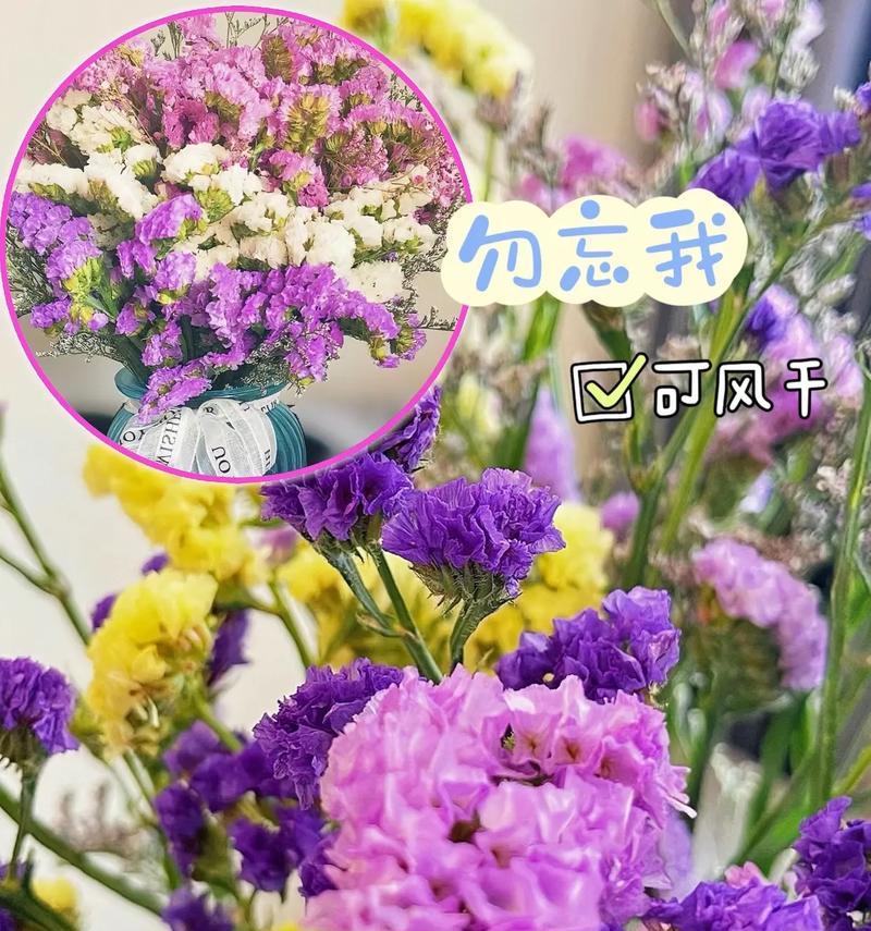 勿忘我是什么花？勿忘我花语是什么？