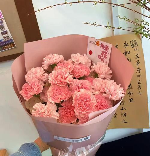 康乃馨精灵的花语有何深意？康乃馨精灵代表了什么？
