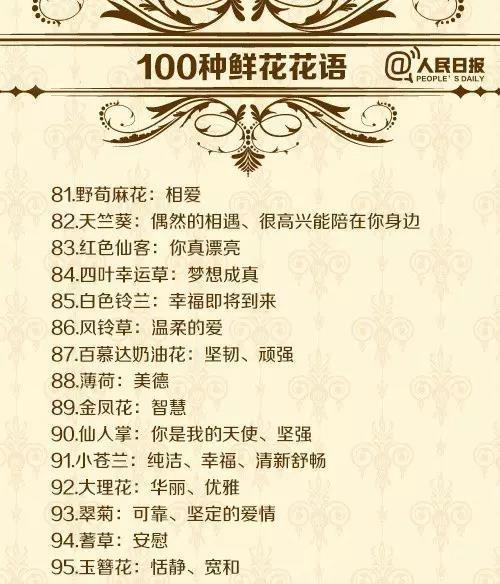 黑蓝花的花语有何深意？它在花语中象征着什么？