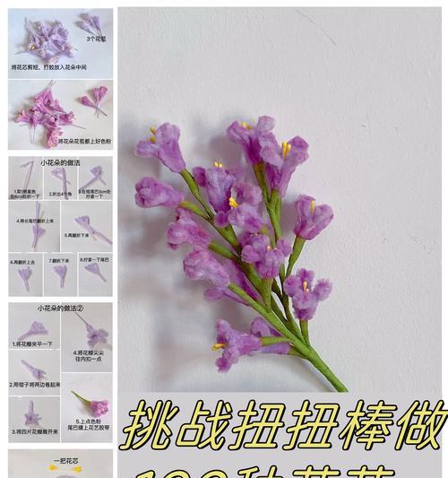 黑蓝花的花语有何深意？它在花语中象征着什么？