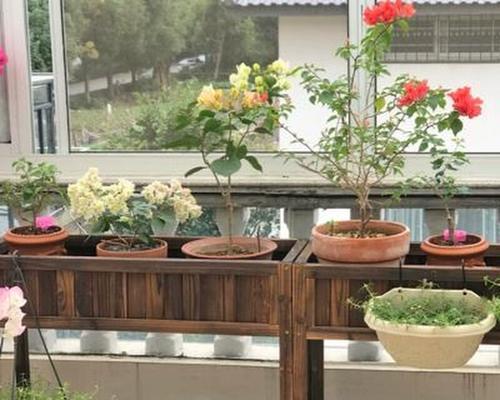 楼顶种植花草需要注意什么？有哪些好处？