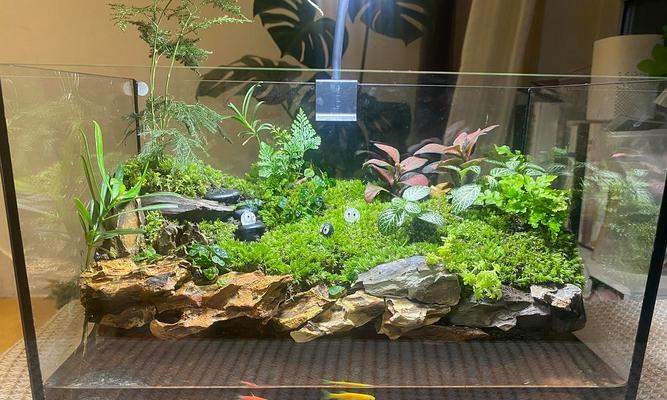 古法生态鱼缸适合哪些水生植物？如何搭配更美观？