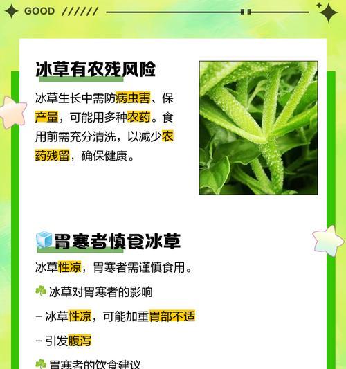 冰草通常生长在哪些地方？它的生长环境有什么特点？