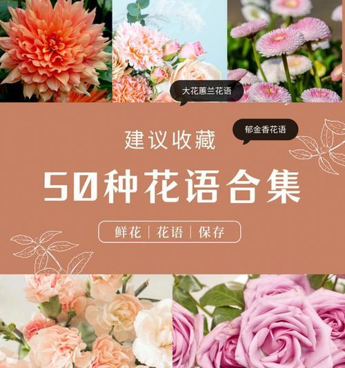 有钱人偏爱哪种花语？