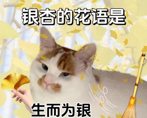 花语晨曦中梨的象征意义是什么？梨在花语中代表什么？
