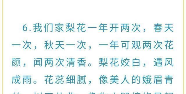 花语晨曦中梨的象征意义是什么？梨在花语中代表什么？