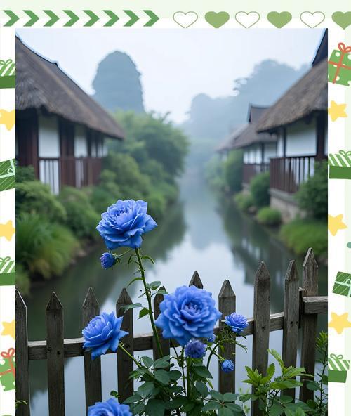 黑骑士和蓝玫瑰的花语是什么？它们各自有何寓意？