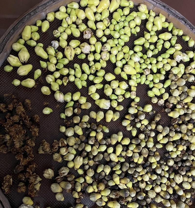 白色石榴花的花语寓意是什么？