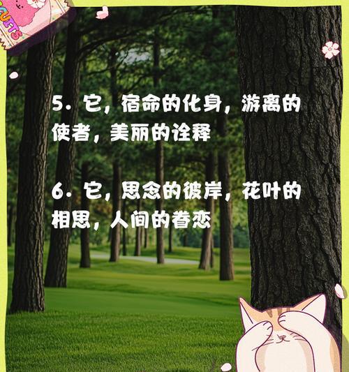 情人节有哪些好笑的花语？花语如何带来欢笑？