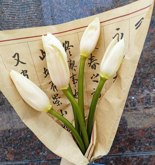 睡莲束的花语有何深意？送睡莲束表达什么情感？