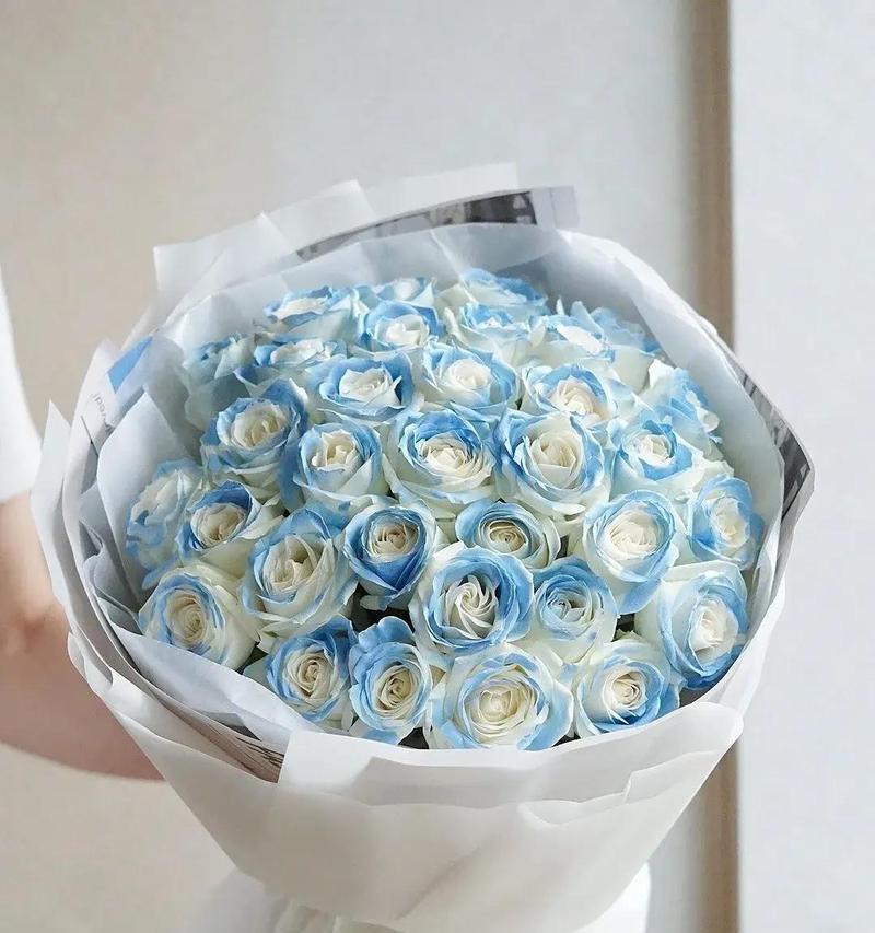 虹彩玫瑰的花语和寓意是什么？它有哪些特别之处？
