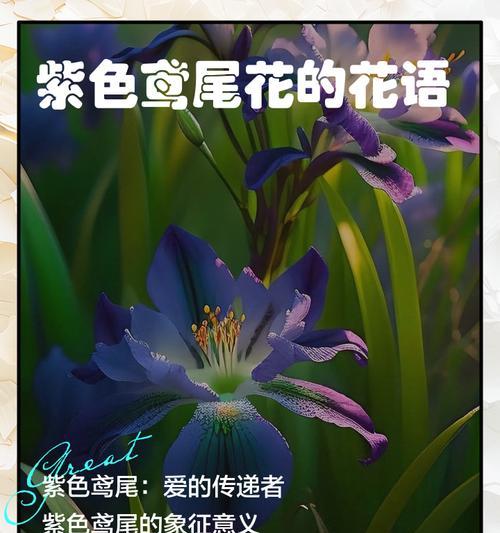 全网吐槽的花语是什么？它为何引起热议？
