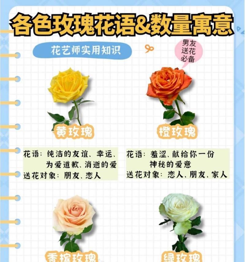 贵族喜欢的红玫瑰花语是什么？红玫瑰代表了什么？