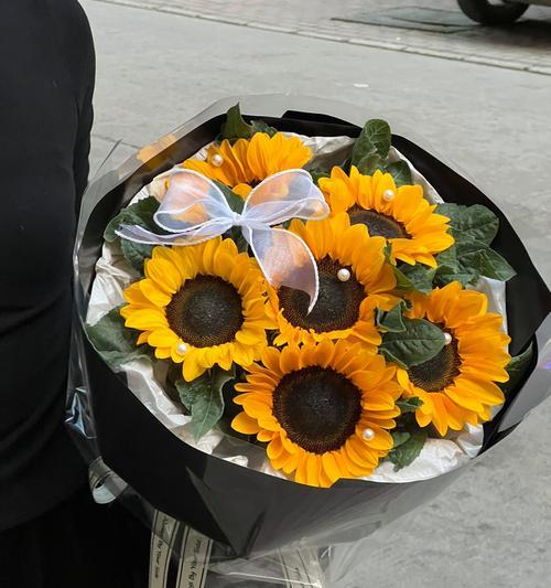 6支花束的花语和寓意有哪些？它们象征着什么？