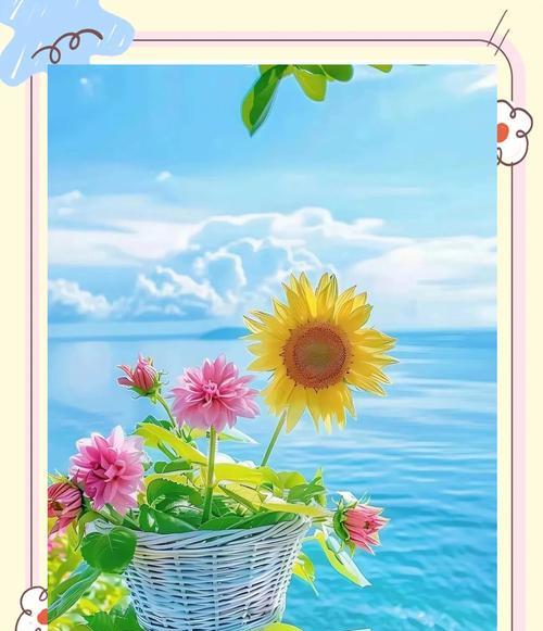 6支花束的花语和寓意有哪些？它们象征着什么？