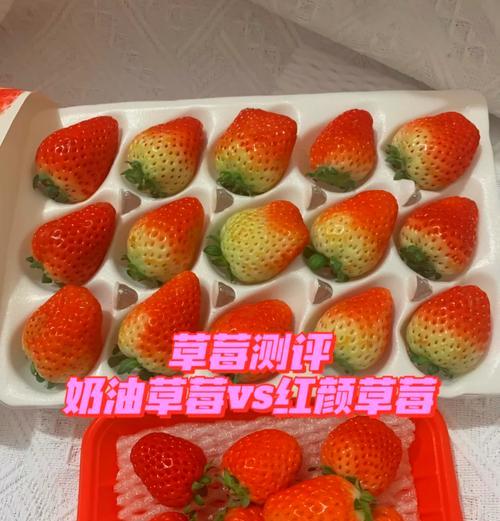 红颜草莓的花语是什么？红颜草莓象征着什么？
