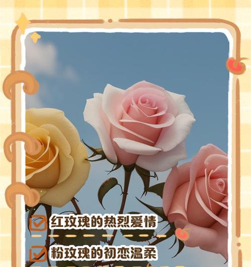 粉黄绿玫瑰的花语是什么？这种花语有何特别之处？