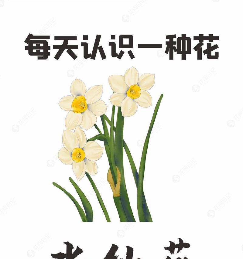 三水花店推荐的花语是什么？