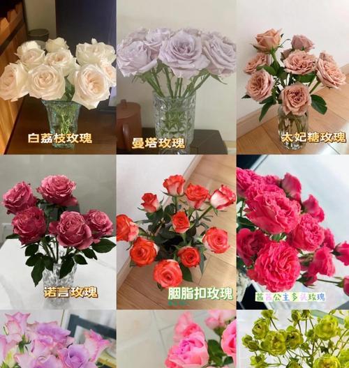 紫玫瑰花加白玫瑰代表什么？混合颜色玫瑰的花语是什么？