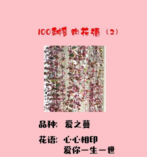 哪种花语最能代表爱意？