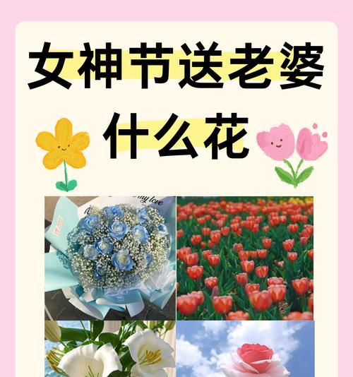 赠予先生的玫瑰花有何寓意？它象征着怎样的情感？