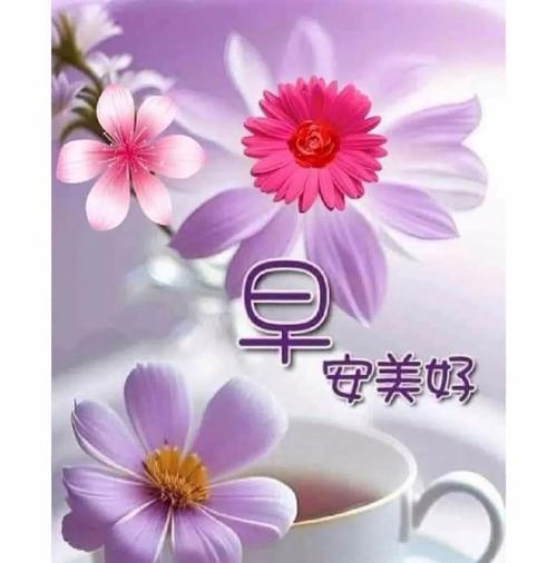 哪种花的花语代表幸福如意？适合什么场合？