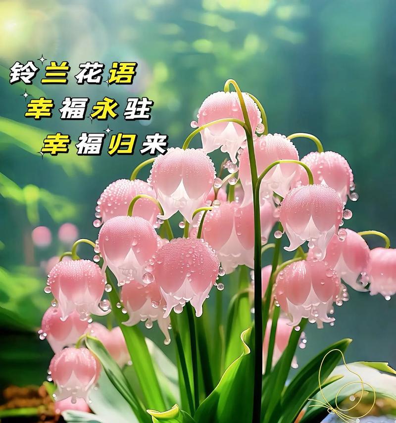 有花有你有花语有何含义？