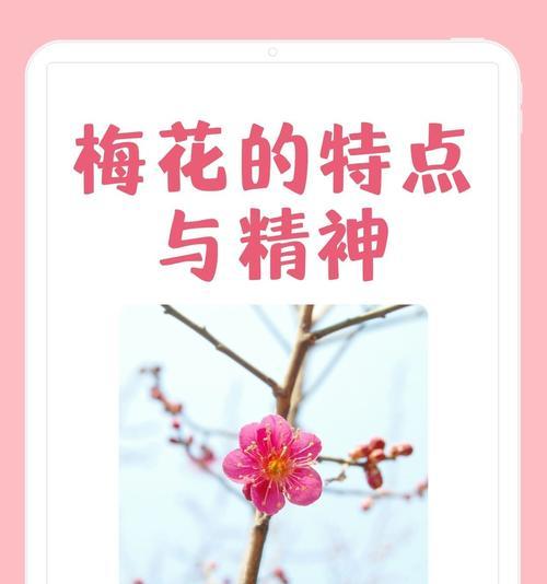 收藏梅花的花语代表什么？梅花花语有哪些含义？