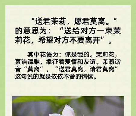 花语亲密是什么意思？它代表了什么？