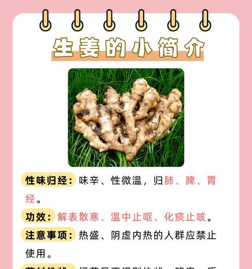生姜如何快速催芽？有哪些有效的方法？