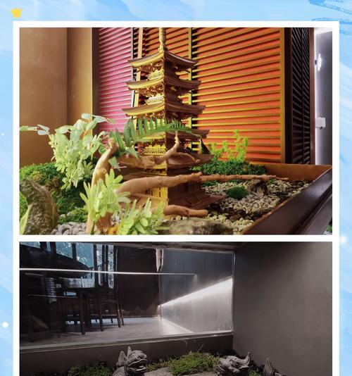 家庭苔藓的养护技巧是什么？从湿度到光照的全攻略是什么？