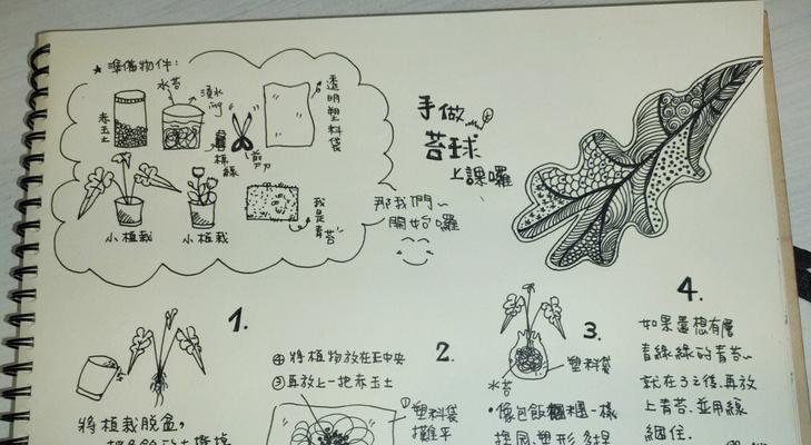 家庭苔藓的养护技巧是什么？从湿度到光照的全攻略是什么？