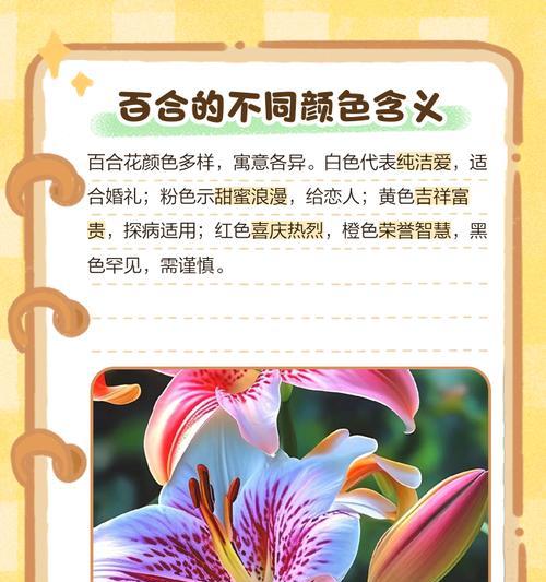 百合花语是什么？那些温柔而深刻的话如何表达？