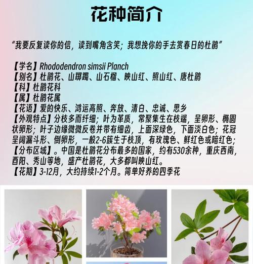 含笑花一年开几次花？它的特点是什么？