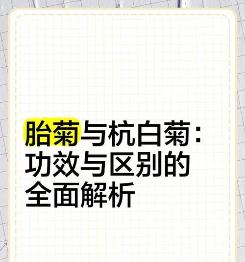雏菊和杭菊是同一品种吗？它们的区别在哪里？