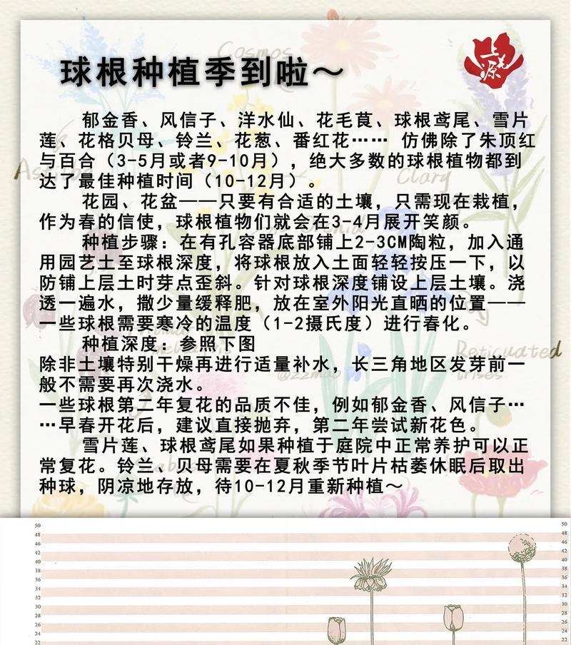 花球如何开花？开花前需要做哪些准备？