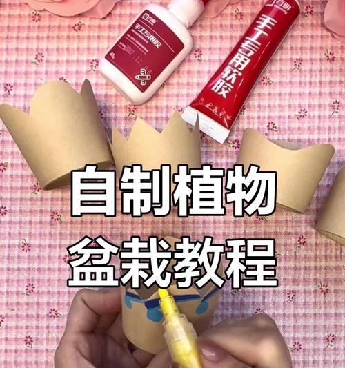 创意盆栽小盆栽如何制作？有哪些技巧？